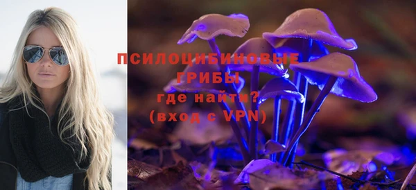 прущая мука Надым