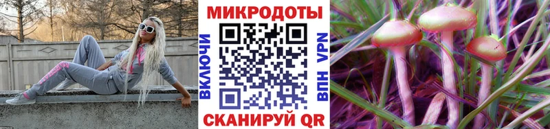 кракен онион  Моздок  Галлюциногенные грибы Psilocybine cubensis  магазин  наркотиков 