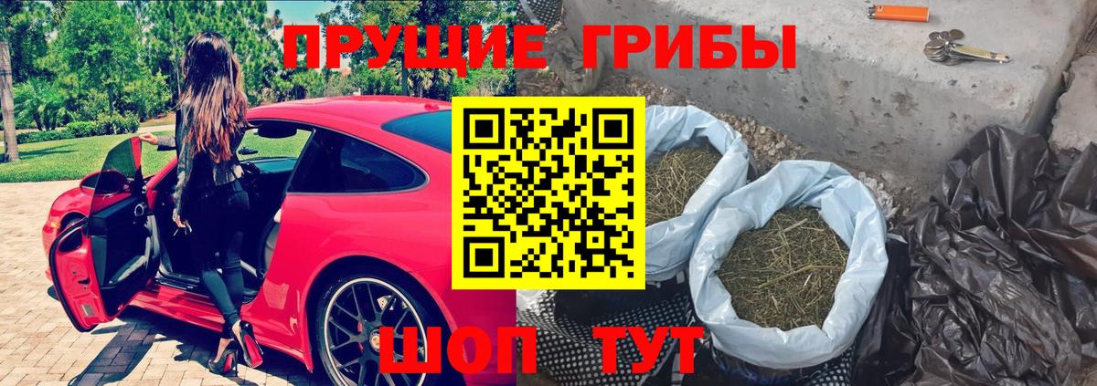 что такое наркотик  Моздок  Псилоцибиновые грибы GOLDEN TEACHER 