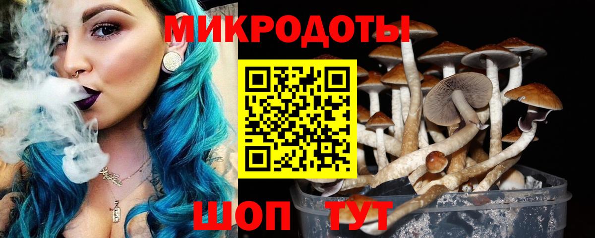 Галлюциногенные грибы Magic Shrooms  Галлюциногенные грибы Psilocybine cubensis  Вход с VPN  Моздок 